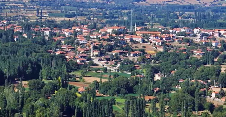 Beyağaç Taşımacılık Hizmeti