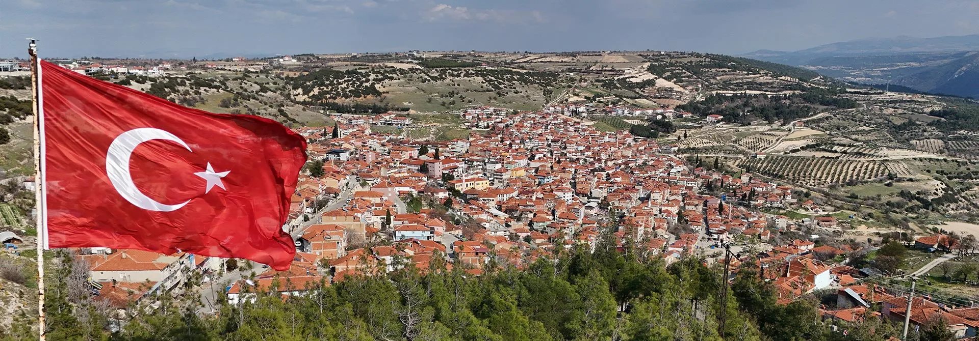 Güney Taşımacılık